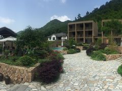 -看见远方·莫干遥远的山民宿