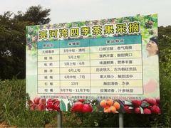 iphone_upload_pic-亮河湾山庄