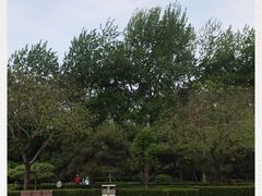 -黄村公园
