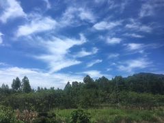 -牛鱼嘴原始生态风景区-停车场