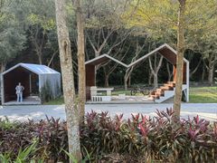 -银湖山郊野公园-相思林