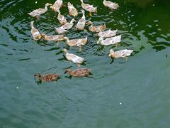 -东钱湖旅游度假区