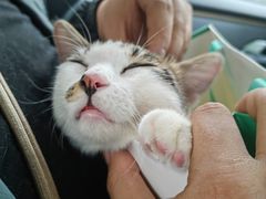 -乐琪宠物医院·犬猫专科·骨外科·急重症