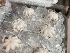 -铭聚章鱼土笋冻(松柏店)