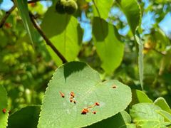 -洋湖国家湿地公园