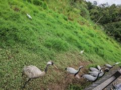 -普洱太阳河森林公园