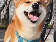 -龙美术馆西岸馆-停车场