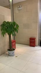 -银座Calla日式美容沙龙