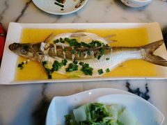 鸡汁蒸白鱼-京城小江南·北京烤鸭·江南土菜·白鱼(中关村店)