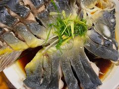 -夏雨路轩特色餐厅·十年经营