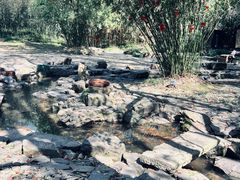-兰亭风景区