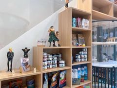 -佐罗家宠物馆·猫文化馆(紫霞路店)