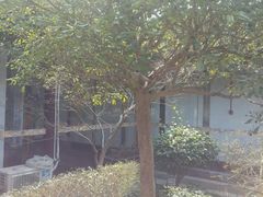 -碧丽宫大酒店(召稼楼店)