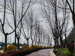 -石老人观光园