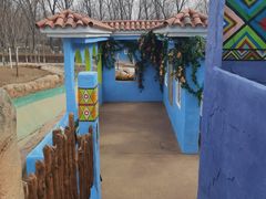 -北京野生动物园