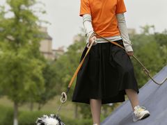 -汉长安城未央宫国家考古遗址公园