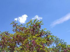 -雁门关景区
