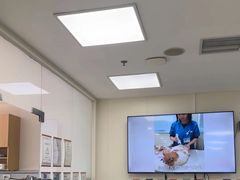 -美联众合动物医院·24h京西诊疗中心