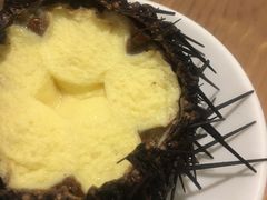 -海胆小馆(东北水饺·春柳店)