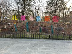 -合肥滨湖国家森林公园