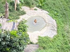 -广州长隆野生动物世界