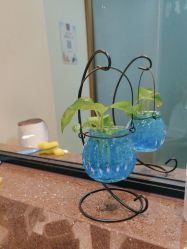 -爱贝蕊恩韩式月子会所(南山店)