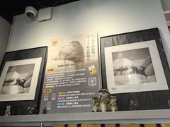 -浣熊唱片店(上海影城店)