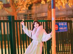 -三里屯东五街银杏大道