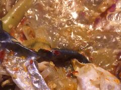 -炉鱼(平湖八佰伴店)