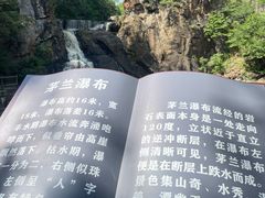 -茅兰沟国家森林公园