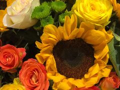 -鲜芋仙(徐州彭城一号店)