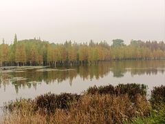 -白鹭湾湿地公园