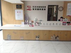 -艾贝尔宠物医院·24H转诊中心·肿瘤猫专科(江宁双龙店)