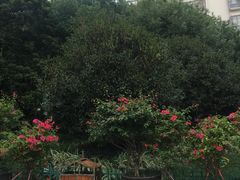 -乌山风景区