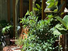 -时光花园(白鹭洲店)