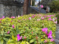 -天龙八部武侠城