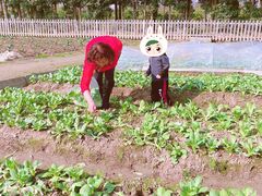 -前小桔亲子创意农场·草莓采摘·露营烧烤