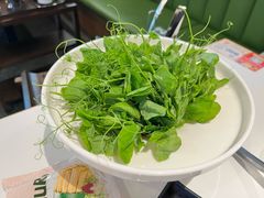 -烹然四季椰子鸡火锅(姚家园万象汇店)