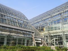 -南山植物园