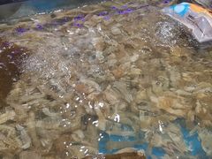-盒马鲜生(大行宫店)