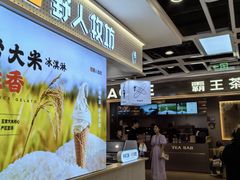-野人先生现做冰淇淋(西安赛格店)