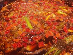 -三道苗苗鱼·美蛙黄辣丁(八里店)