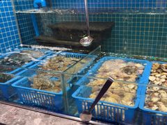 -曼格活海鲜·牛排自助(光明蓝鲸店)