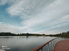 -东郊湿地公园