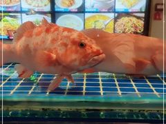 -阿明小菜·海鲜·上海菜(梅陇华理店)