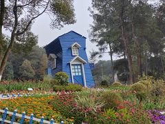 -铁山坪森林公园