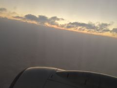 -大湾区中央湿地公园