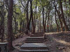 -九曜山