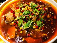 -蜀锦堂·川味现炒(襄阳武商汇店)