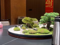 -阿露佳·舌尖上的安吉菜